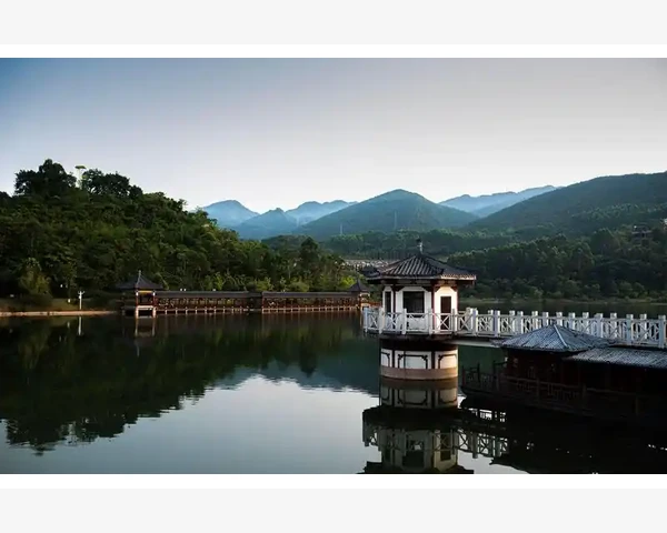 盖被子驱寒：一种中医养生方式的探索